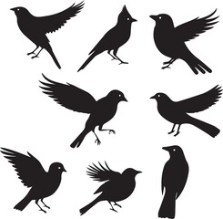 Set of black bird silhouettes Vector Illustration elements for design on White Background 
