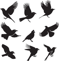 Set of black bird silhouettes Vector Illustration elements for design on White Background 