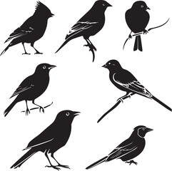 Set of black bird silhouettes Vector Illustration elements for design on White Background 