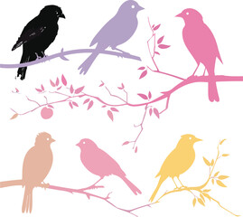 Set of black bird silhouettes Vector Illustration elements for design on White Background 