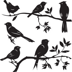 Set of black bird silhouettes Vector Illustration elements for design on White Background 