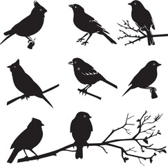 Set of black bird silhouettes Vector Illustration elements for design on White Background 