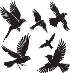 Set of black bird silhouettes Vector Illustration elements for design on White Background 