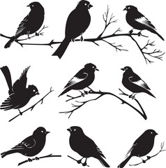 Set of black bird silhouettes Vector Illustration elements for design on White Background 