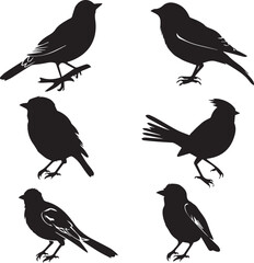 Fototapeta premium Set of black bird silhouettes Vector Illustration elements for design on White Background 