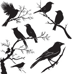 Set of black bird silhouettes Vector Illustration elements for design on White Background 