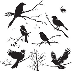 Set of black bird silhouettes Vector Illustration elements for design on White Background 