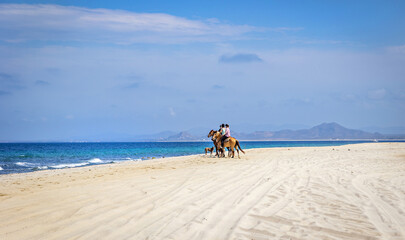 Riding horses on a beach with a dog.