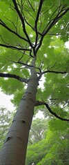 Fototapeta premium tree in forest illustration 