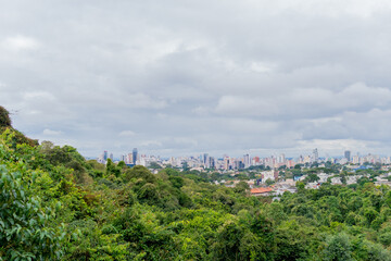Obraz premium Panoramic view of a city with buildings and skyscrapers from a park full of trees, Curitiba Brazil.