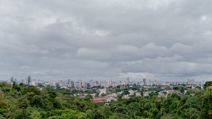 Panoramic view of a city with buildings and skyscrapers from a park full of trees.