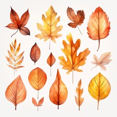 Obraz premium Colorful leaves pattern