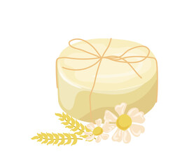 Handmade soap bar with chamomile and grains of wheat spikelets ingredient vector illustration