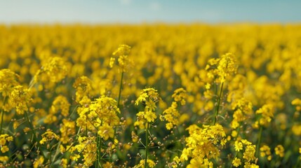 endless field of blooming yellow mustard plants digital ai landscape art