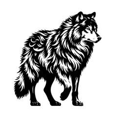 Fototapeta premium Cartoon Black and White Isolated Illustration Vector Of A Wolf Walking