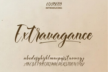 signature Font Calligraphy Logotype Script Brush Font Type Font lettering handwritten