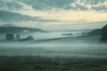 Fototapeta premium Fog blankets the earth in ethereal beauty, wide-angle view of a foggy countryside at dawn, mysterious and calm, soft hues and gentle light