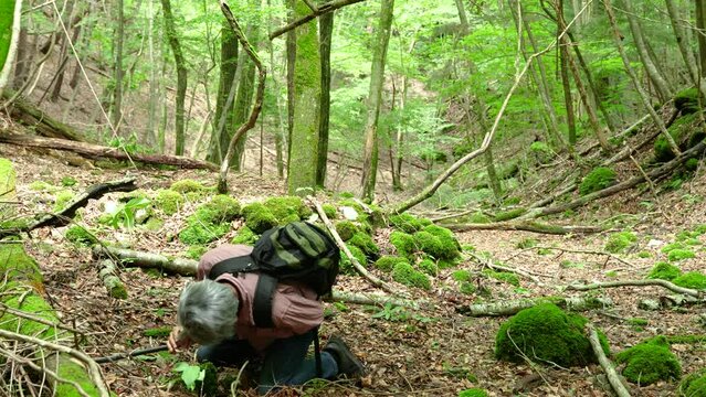 富士山樹海を歩く途中 心臓発作で倒れるシニア男性