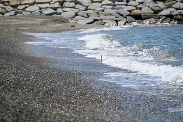 きらきら光る波打ち際