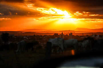 Obraz premium orange sunset seen from the rural area 