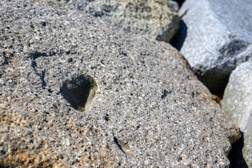 風化した岩に空いた穴