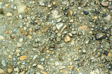 Gray stone gravel floor texture background with mossy rocks.