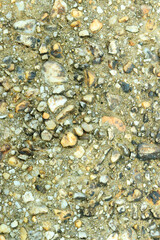 Gray stone gravel floor texture background with mossy rocks.