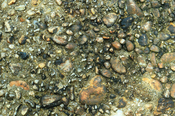 Gray stone gravel floor texture background with mossy rocks.