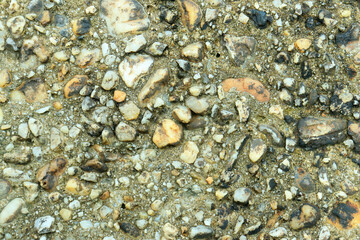 Gray stone gravel floor texture background with mossy rocks.
