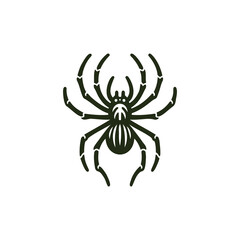 Black and White of Spider Illustration