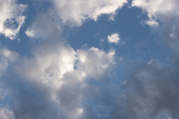 Obraz premium Blue skies with scattered clouds, birds flying high!