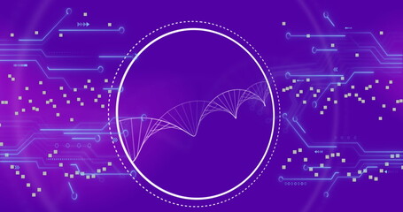 Image of spinning dna structure and microprocesor connections against purple gradient background