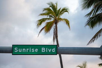 panneau de signalisation " Sunrise boulevard " avec ciel et palmiers en arri&egrave;re plan. Floride