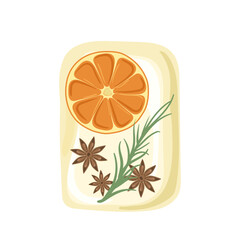 Organic eco cosmetics, natural liquid soap bar with orange and herbs ingredient vector illustration