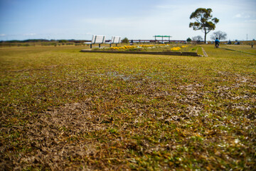 雨上がりの公園の芝生