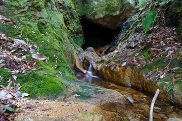 洞穴から流れ出る清水