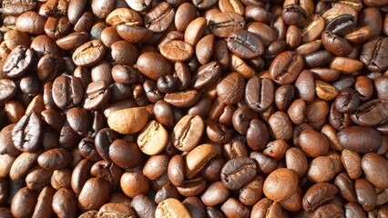 Behold these roasted coffee beans, a symphony of deep browns, each bean a testament to meticulous roasting. Their glossy surface whispers of a journey through medium to dark roast perfection.
