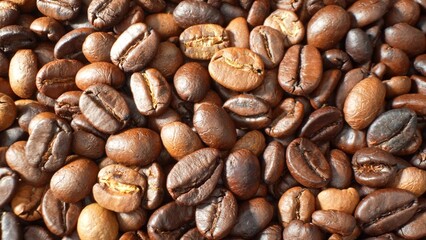 Each roasted coffee bean boasts an allure born of meticulous roasting. With deep, glossy browns and intricate textures, they hint at the sensory journey of a robust, aromatic cup.