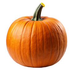 closeup photo of pumpkin on a transparent background - Generative AI
