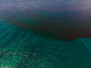 Red Tide Costa Rica
