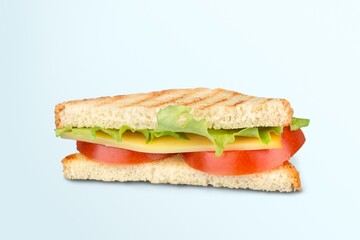 Tasty fresh Sandwich disj with bacon and vegetables