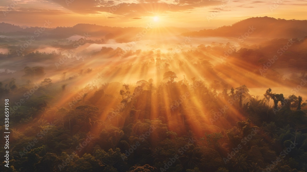 Poster the sun breaking through dense fog at dawn, casting ethereal rays of light over a tranquil forest
