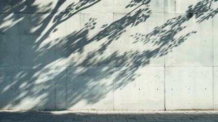 Over the white concrete wall, a shadow is cast by the sun