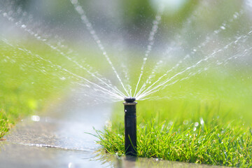 Automatic garden sprinkler in a public park. Gardening equipment. Watering the grass on lawn on a...