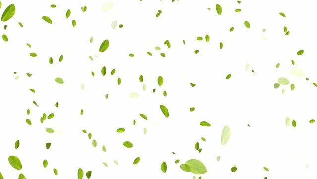 Animation of leaves floating in the summer breeze on a green background.