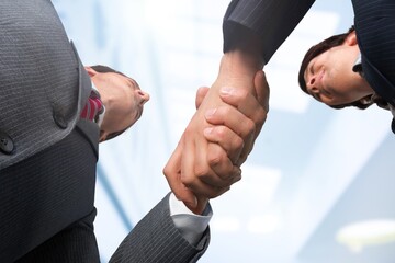 Happy mature business manager handshaking client