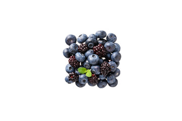 흰배경위에 블루베리와 복분자와 허브가 있다.