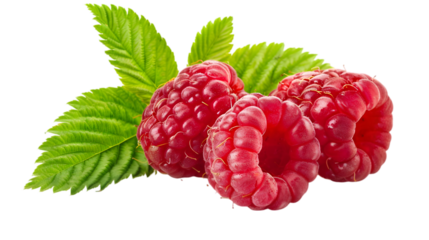 Fresh, vibrant red raspberries with green leaves. High-resolution image perfect for food, health, and nature themes. Isolated on white background.transparent, png,