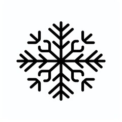 Simple black and white snowflake icon.
