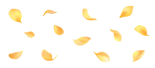 Beautifully dancing petals vector material